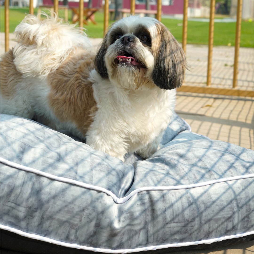 Ash Velvet Mattress for Dogs