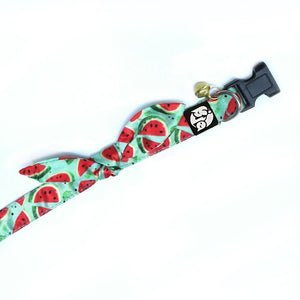 Watermelon Puppy & Cat Collar Leash Set