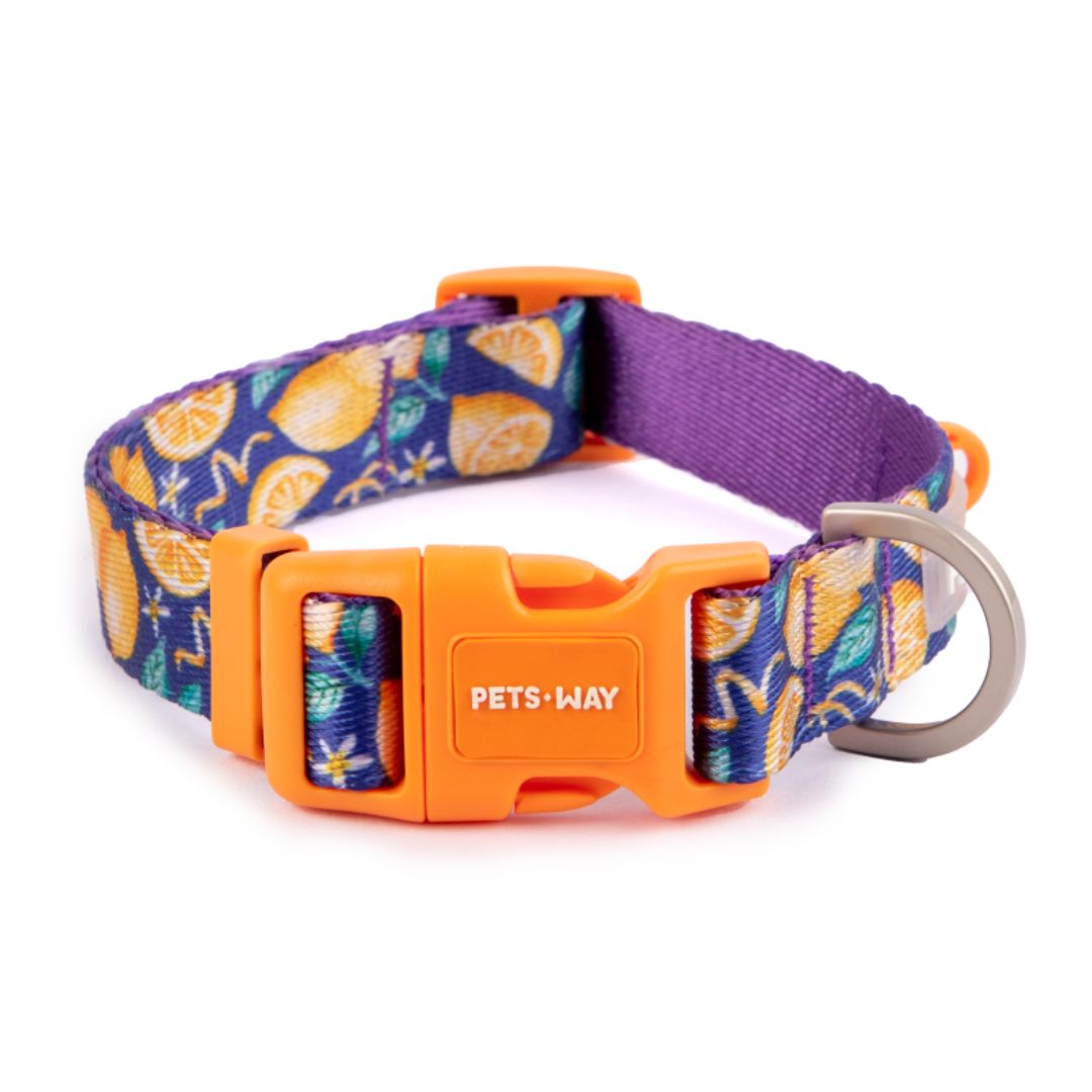 Autumn Dog Collar Leash Set