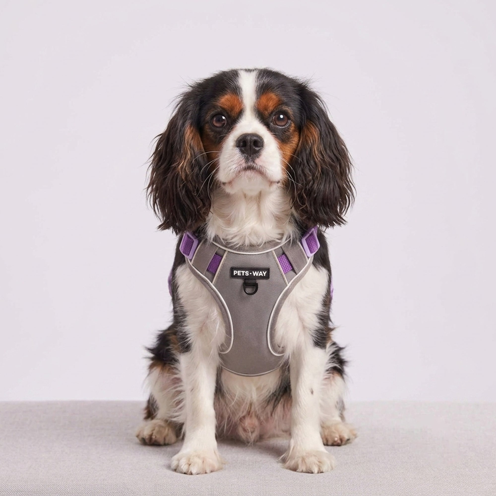 Urban Trail Harness Grey