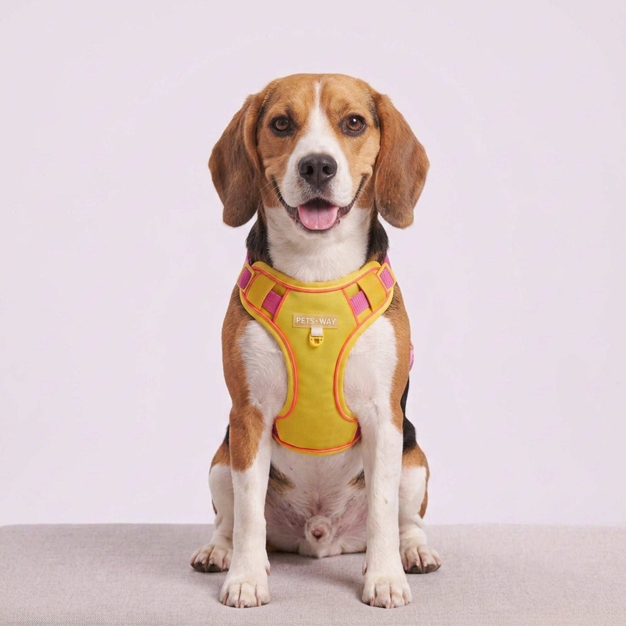 Urban Trail Harness Yellow