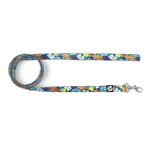 Bold Bloom Puppy & Cat Collar Leash Set