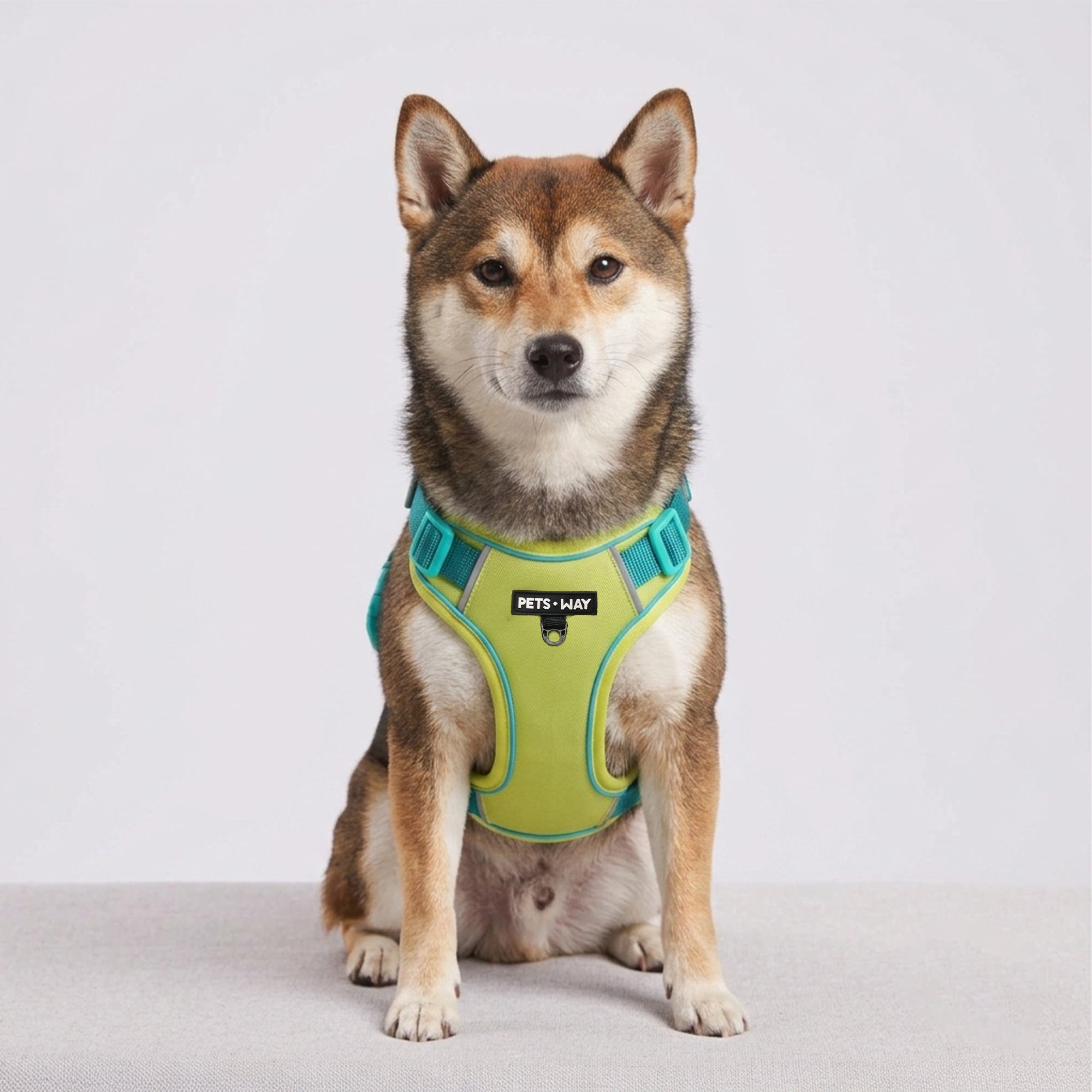 Urban Trail Harness Neon