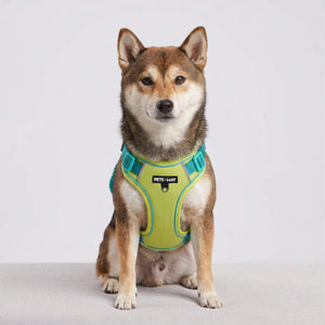 Urban Trail Harness Neon