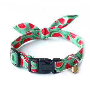 Watermelon Puppy & Cat Collar Leash Set