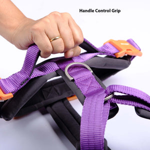 AMETHYST ALPHA HARNESS