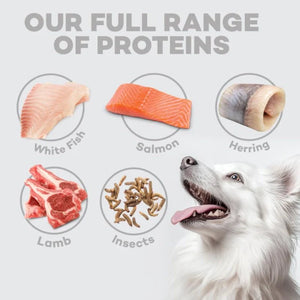 Nature's Protection Superior Care White Dogs Lamb Adult Small and Mini Breeds Dog Dry Food