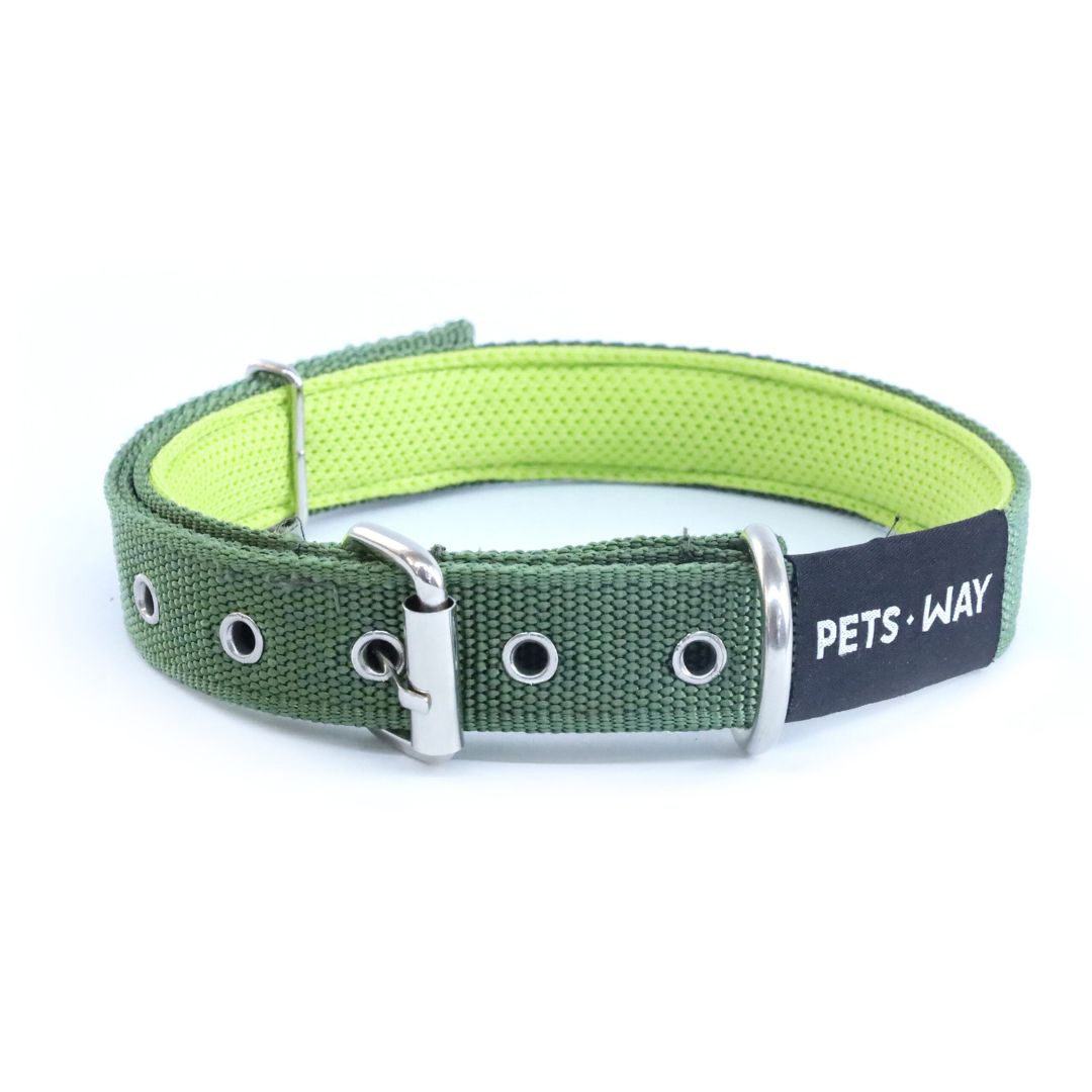 Olive Every Day Dog Collar Leash Set