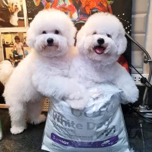 Nature's Protection Superior Care White Dogs Grain Free Salmon Starter All Breeds Dog Dry Food