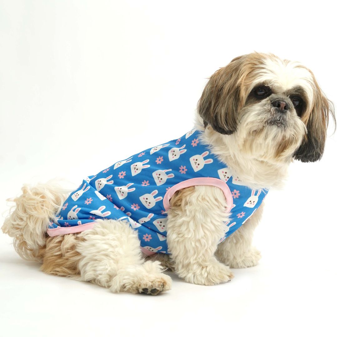 Blue Printed Dog Vest Combo