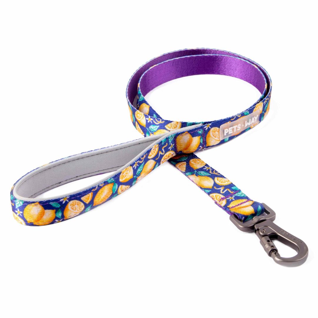 Autumn Dog Collar Leash Set