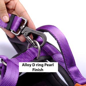 AMETHYST ALPHA HARNESS