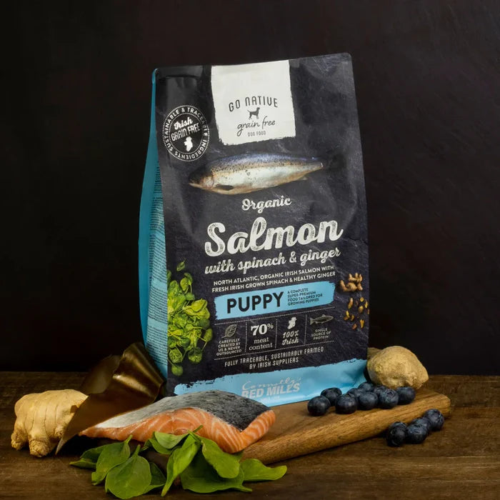 Go Native Puppy Dog Dry Food – Salmon with Spinach & Ginger