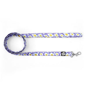 Egg Fry Puppy & Cat Collar Leash Set