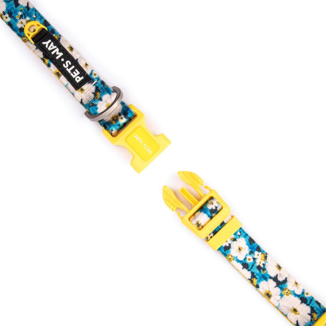 Blossom Dog Collar Leash Set