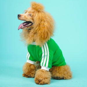 Dive In Stripes - Forest Dog TShirt