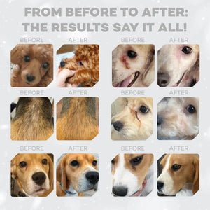 Nature’s Protection Superior Care Red Coat Grain Free Lamb Adult All Breed Dog Dry Food
