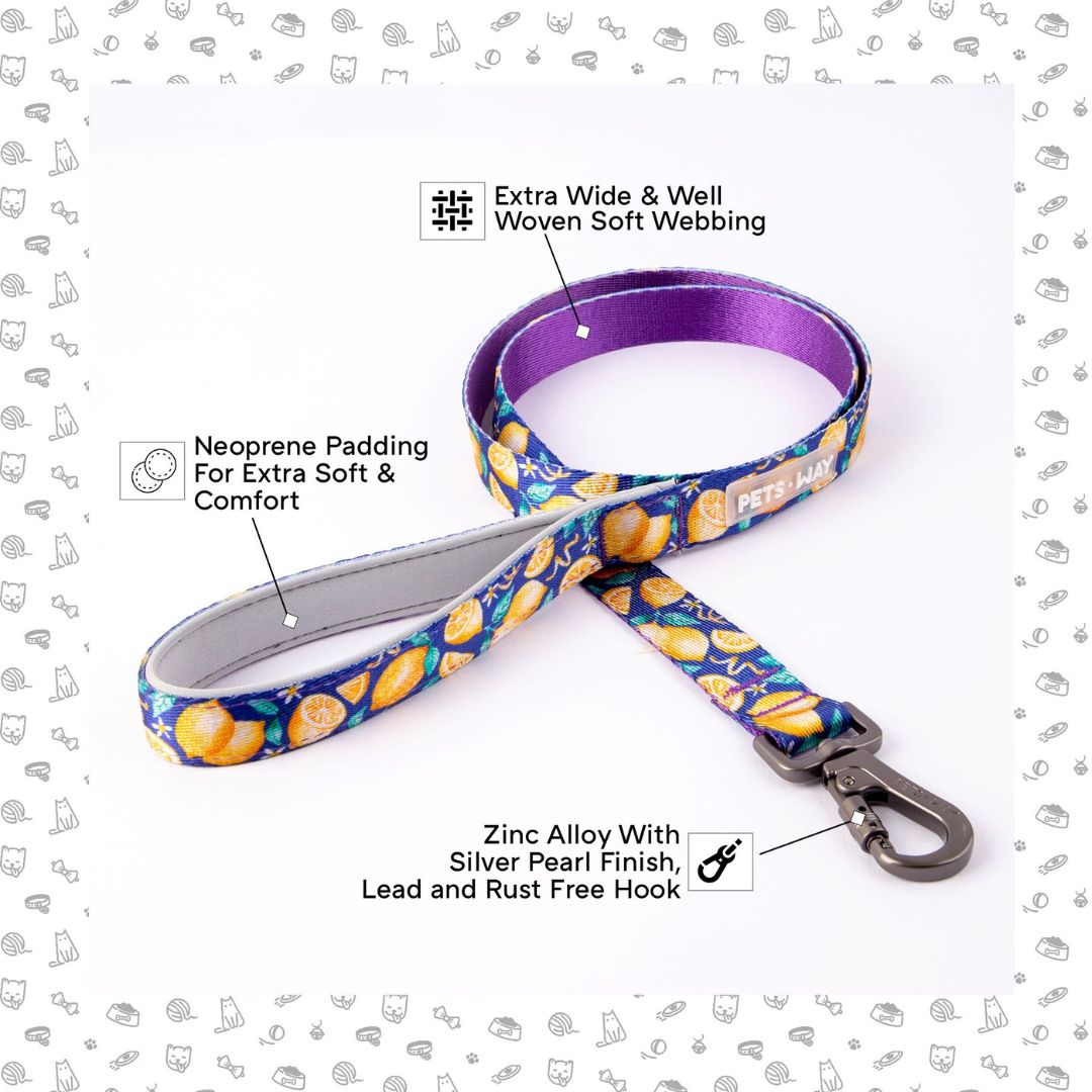 Autumn Dog Collar Leash Set