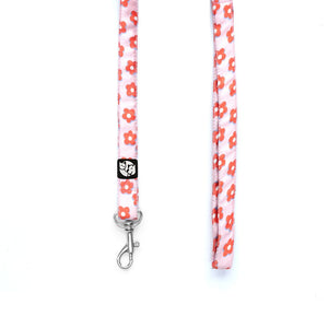 Pawfect Flower Puppy & Cat Collar Leasah Set