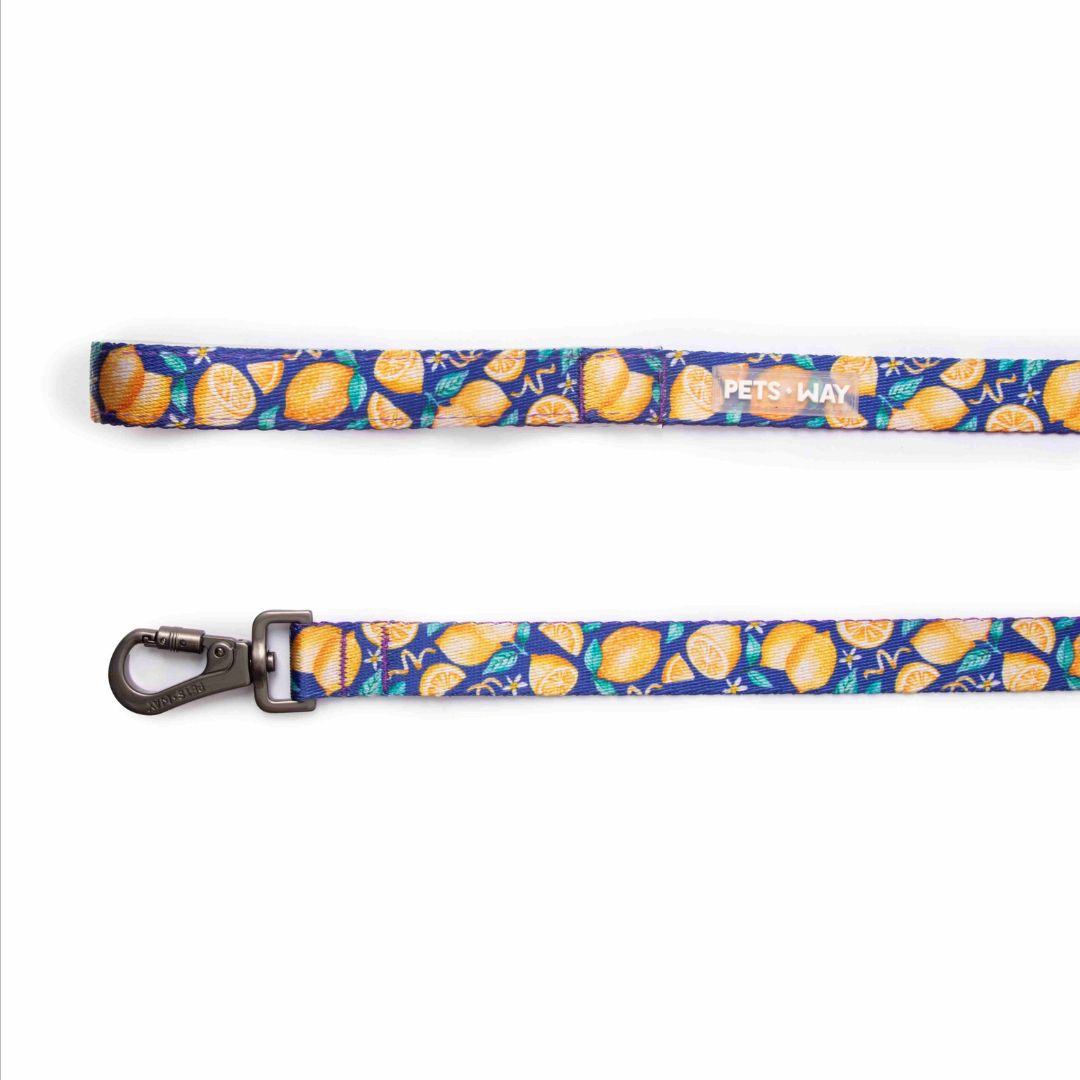 Autumn Dog Collar Leash Set