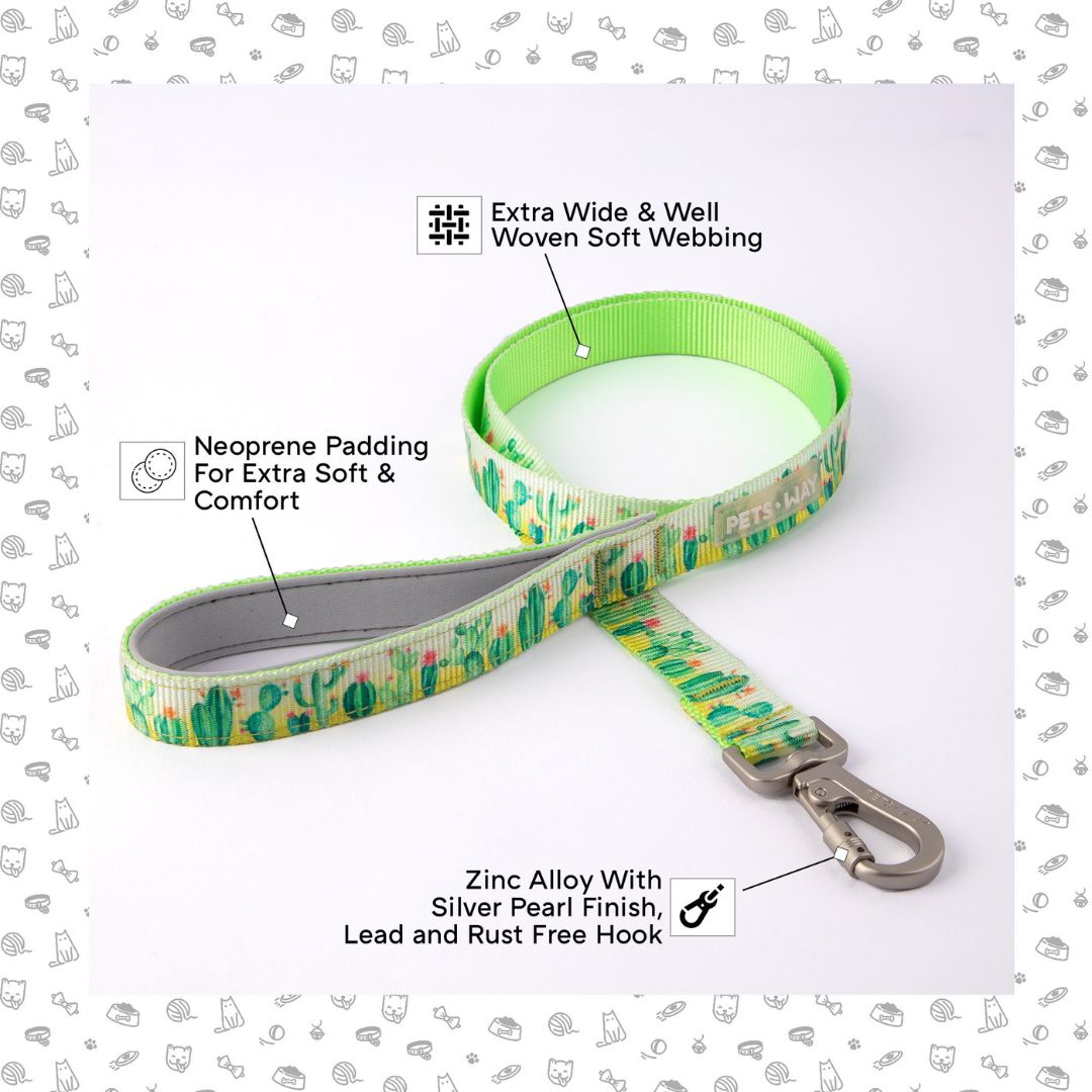 Desert Dog Collar Leash Set
