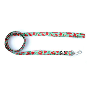 Watermelon Puppy & Cat Collar Leash Set