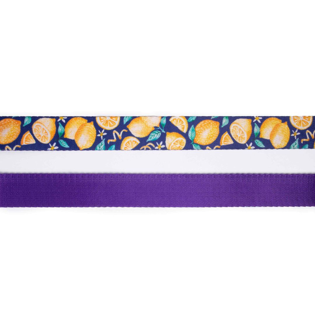 Autumn Dog Collar Leash Set