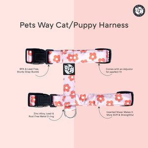 Bold Bloom Puppy & Cat Collar Leash Harness Set