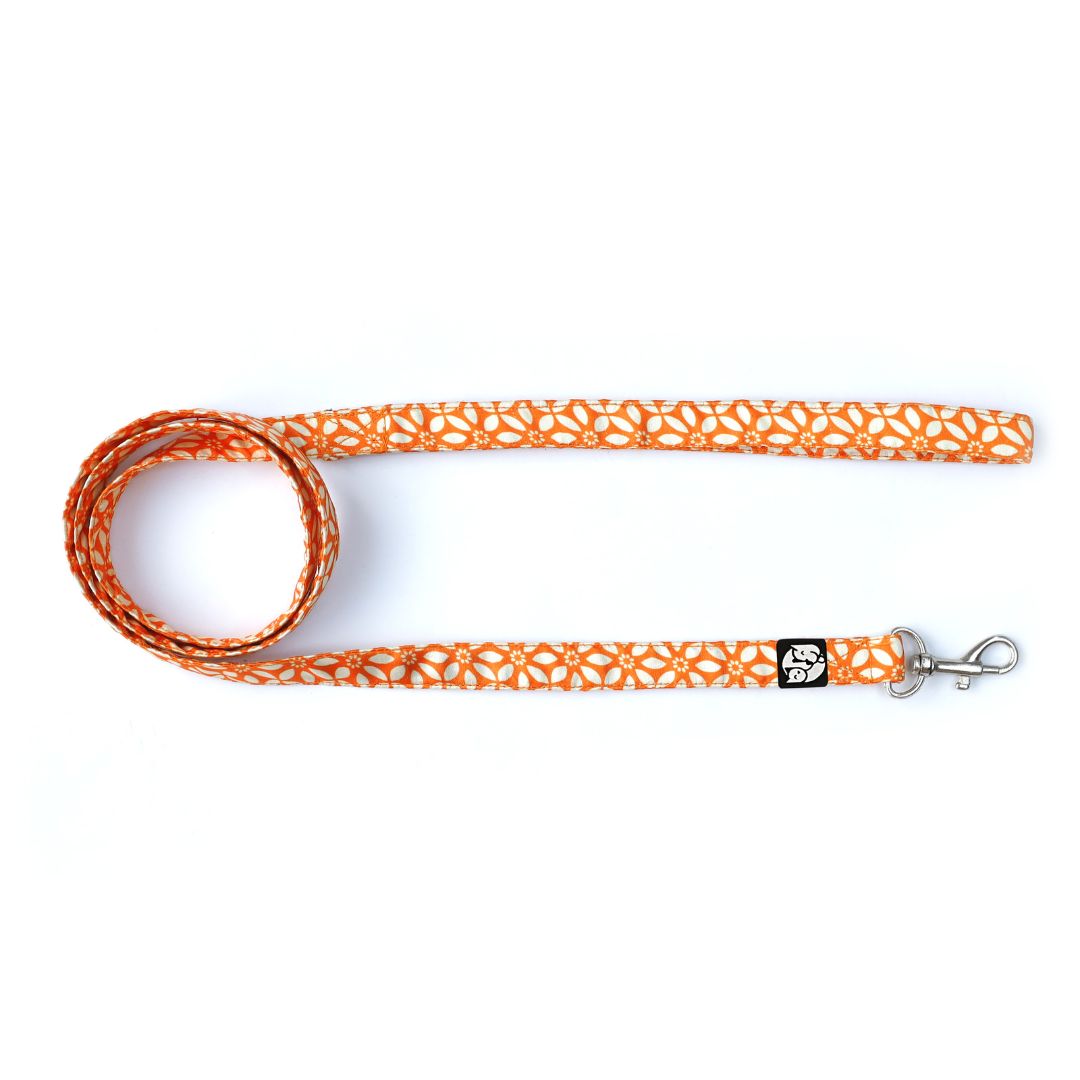 Rangoli Puppy & Cat Collar Leash Set