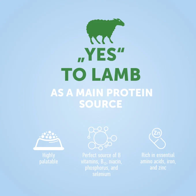 Nature’s Protection All Breed with Lamb Adult Dog Dry Food