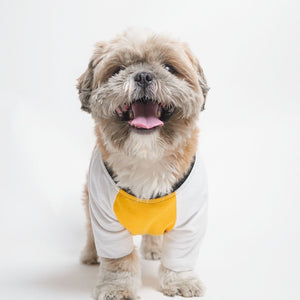 dog show Amber Dog T-Shirt-petsway