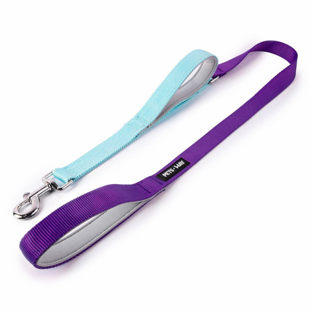 Amethyst & Sky Dual Handle Dog Leash-petsway