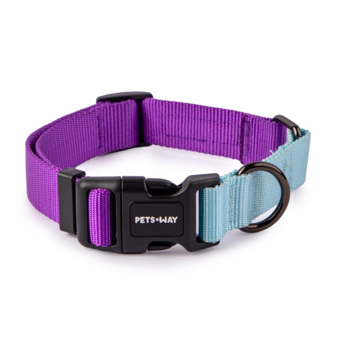 Amethyst & Sky: Dual Color Dog Collar-petsway
