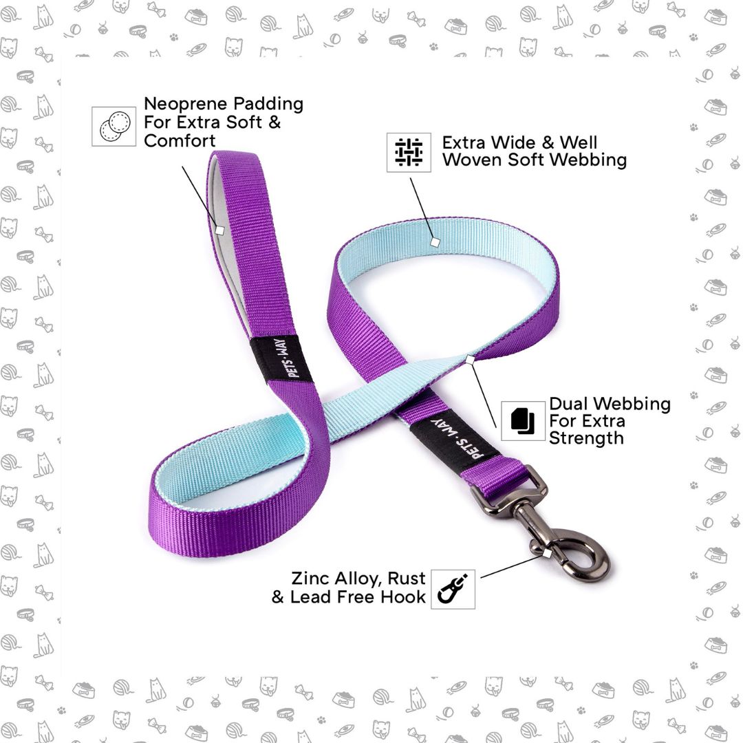 feature image of Amethyst & Sky Dual Color Dog Leash-petsway
