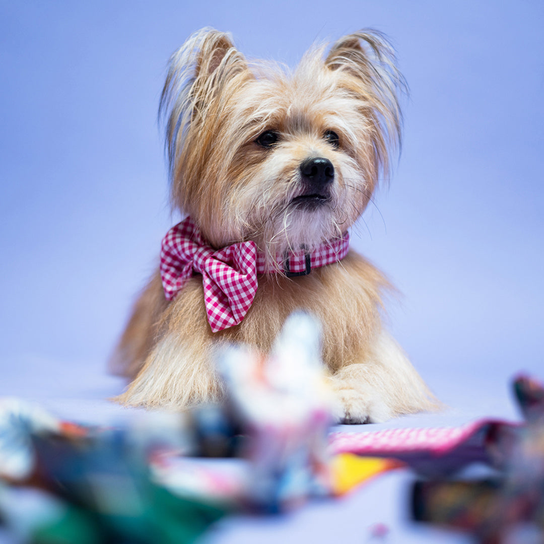 Rose Gingham - Bow Tie