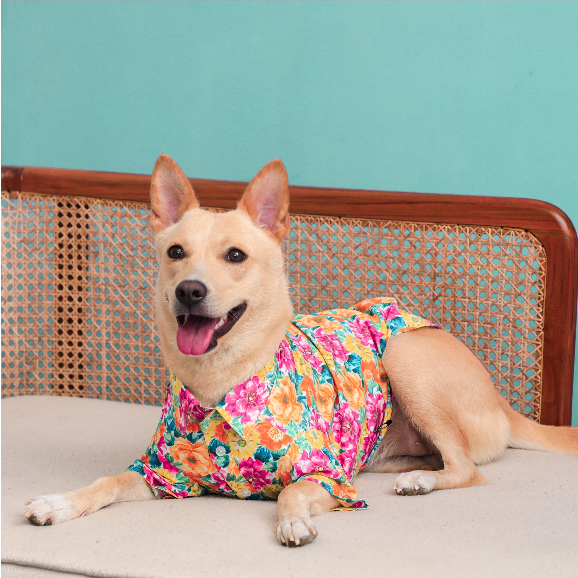 Spring Dog Shirt