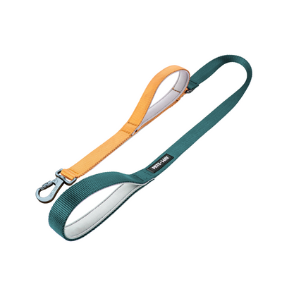 Dual Handle Leash