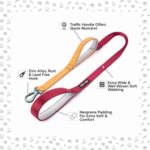 Wine & Honey - Traffic / Dual Handle  Leash