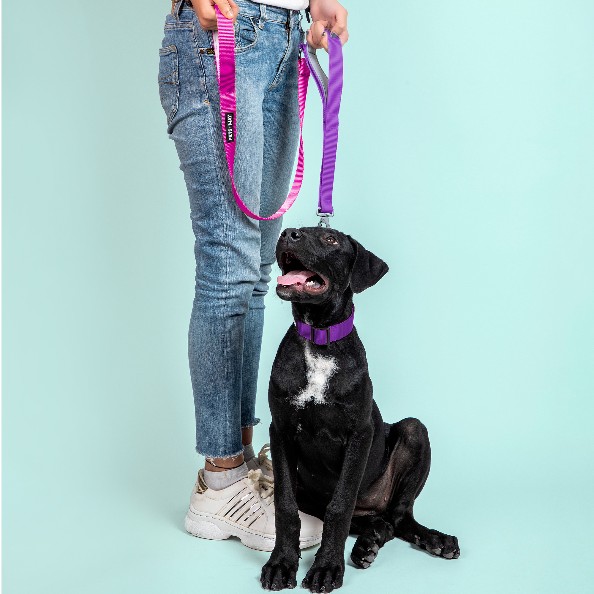 Fuschia & Amethyst - Traffic / Dual Handle  Leash