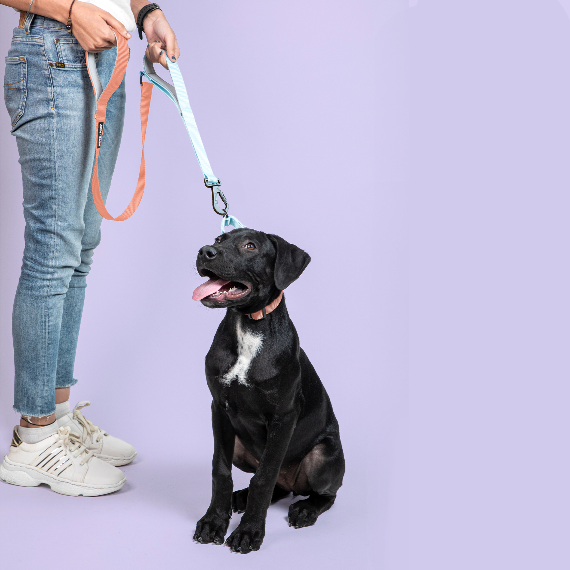 Peach & Sky - Traffic / Dual Handle  Leash