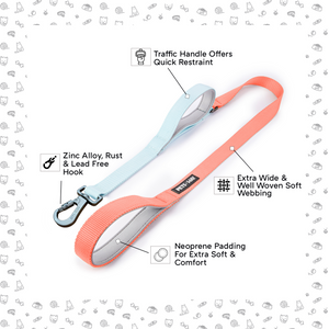 Peach & Sky - Traffic / Dual Handle  Leash