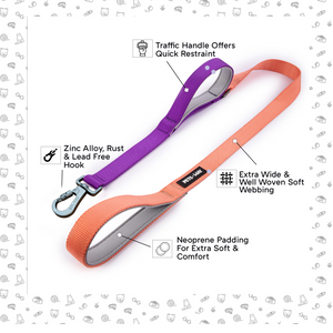 Peach & Amethyst - Traffic / Dual Handle  Leash