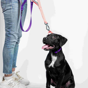 Peach & Amethyst - Traffic / Dual Handle  Leash