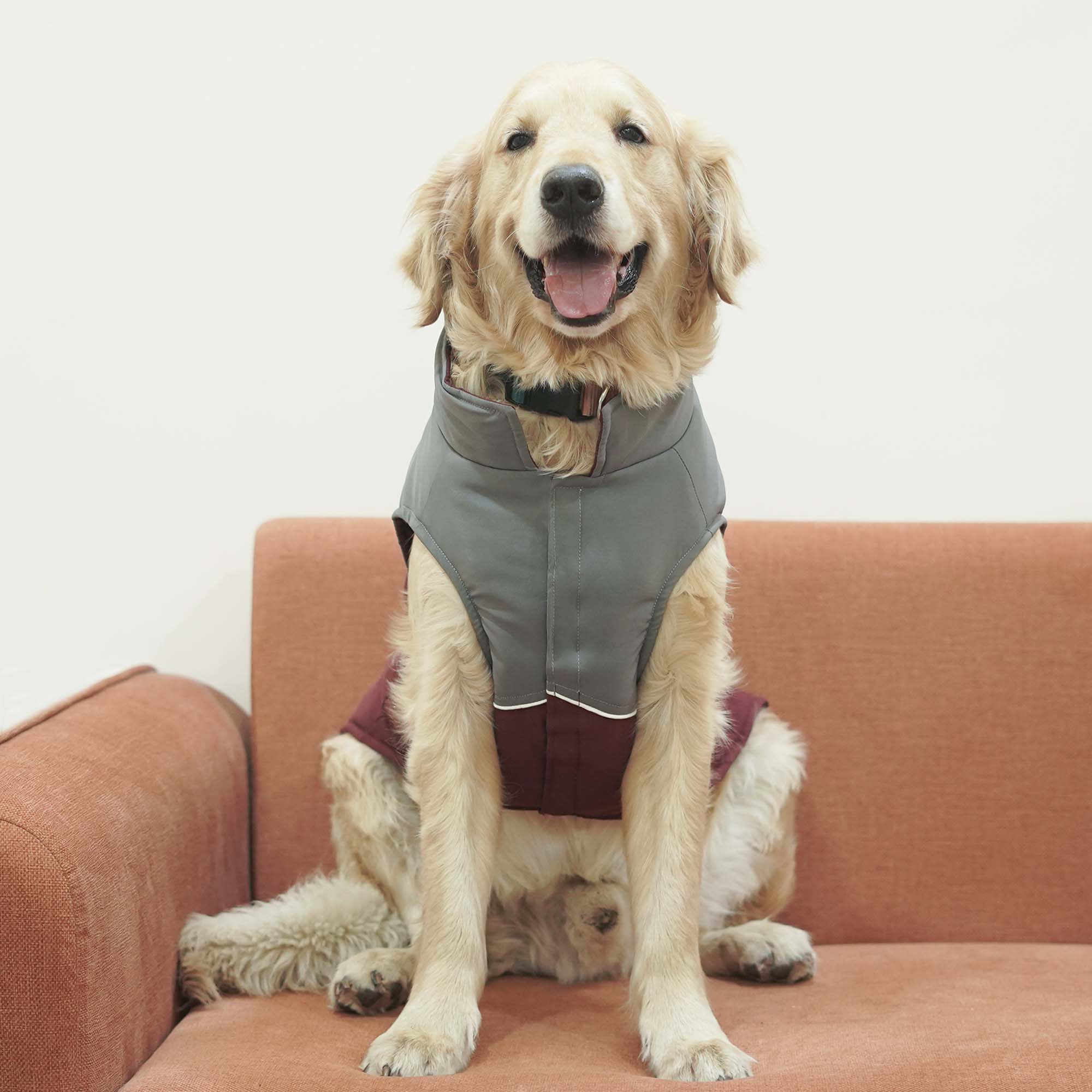 Crazy Frost- Wine Dog Jacket