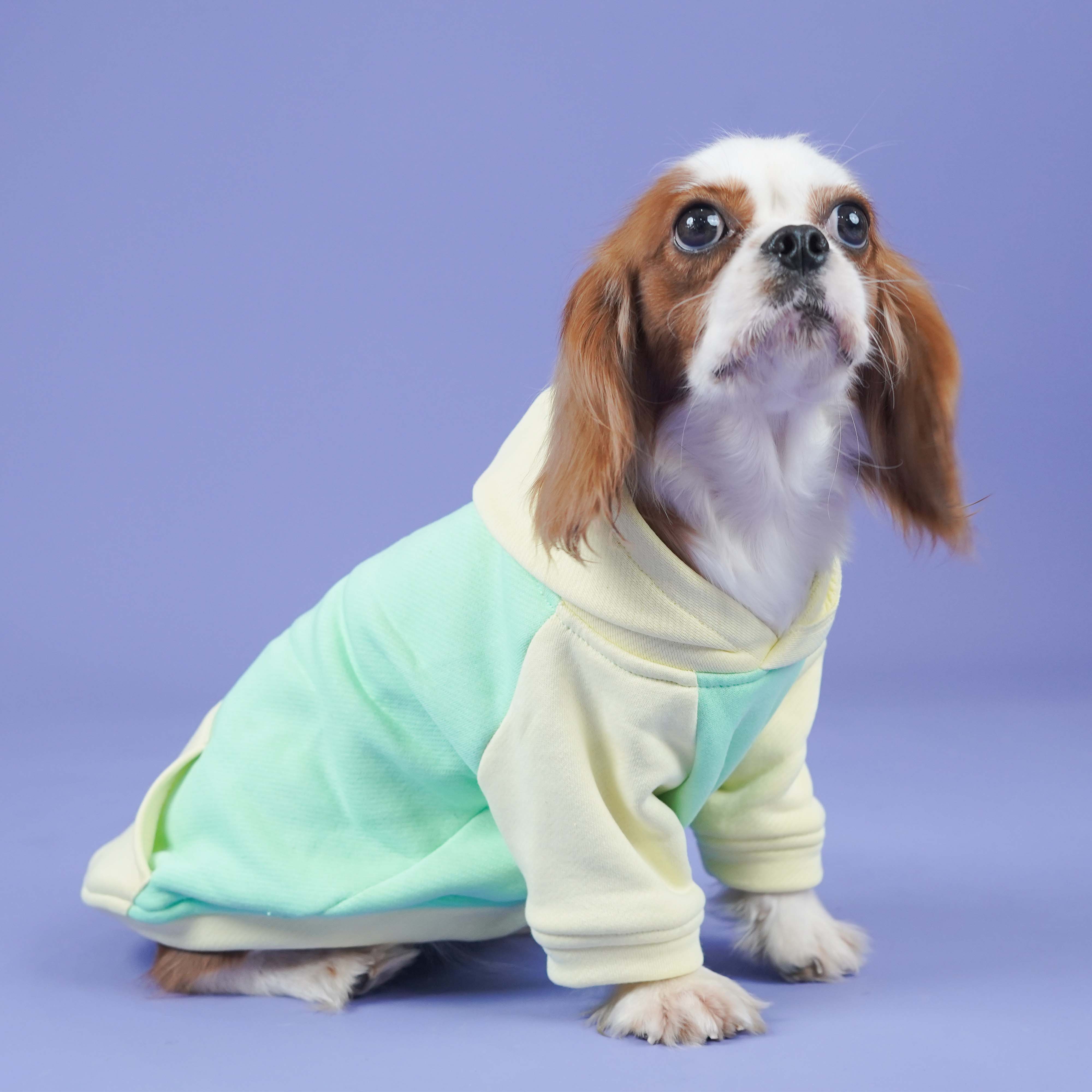 Icy Peak SweatShirt -Mint