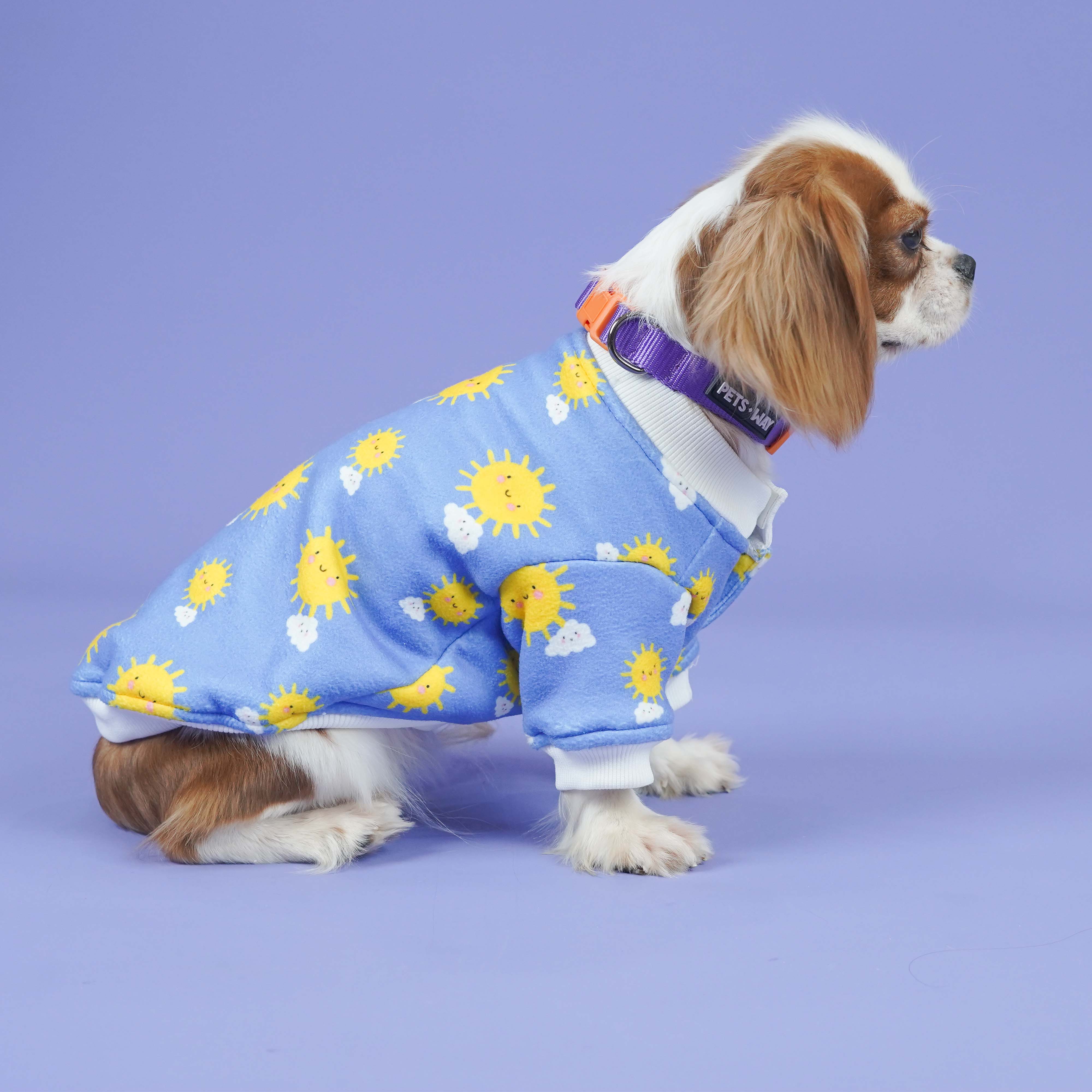 Sunlight Dog Sweatshirt