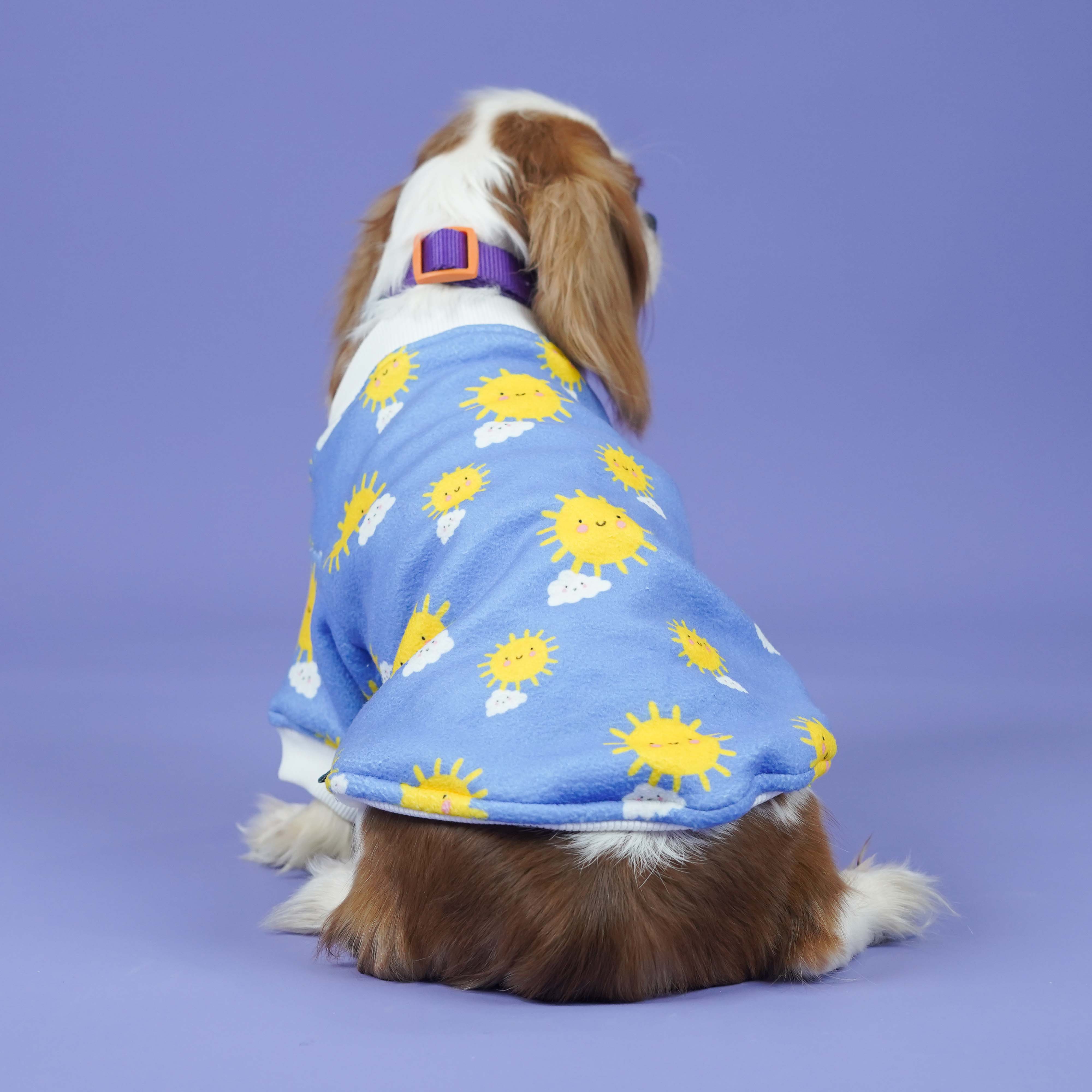 Sunlight Dog Sweatshirt