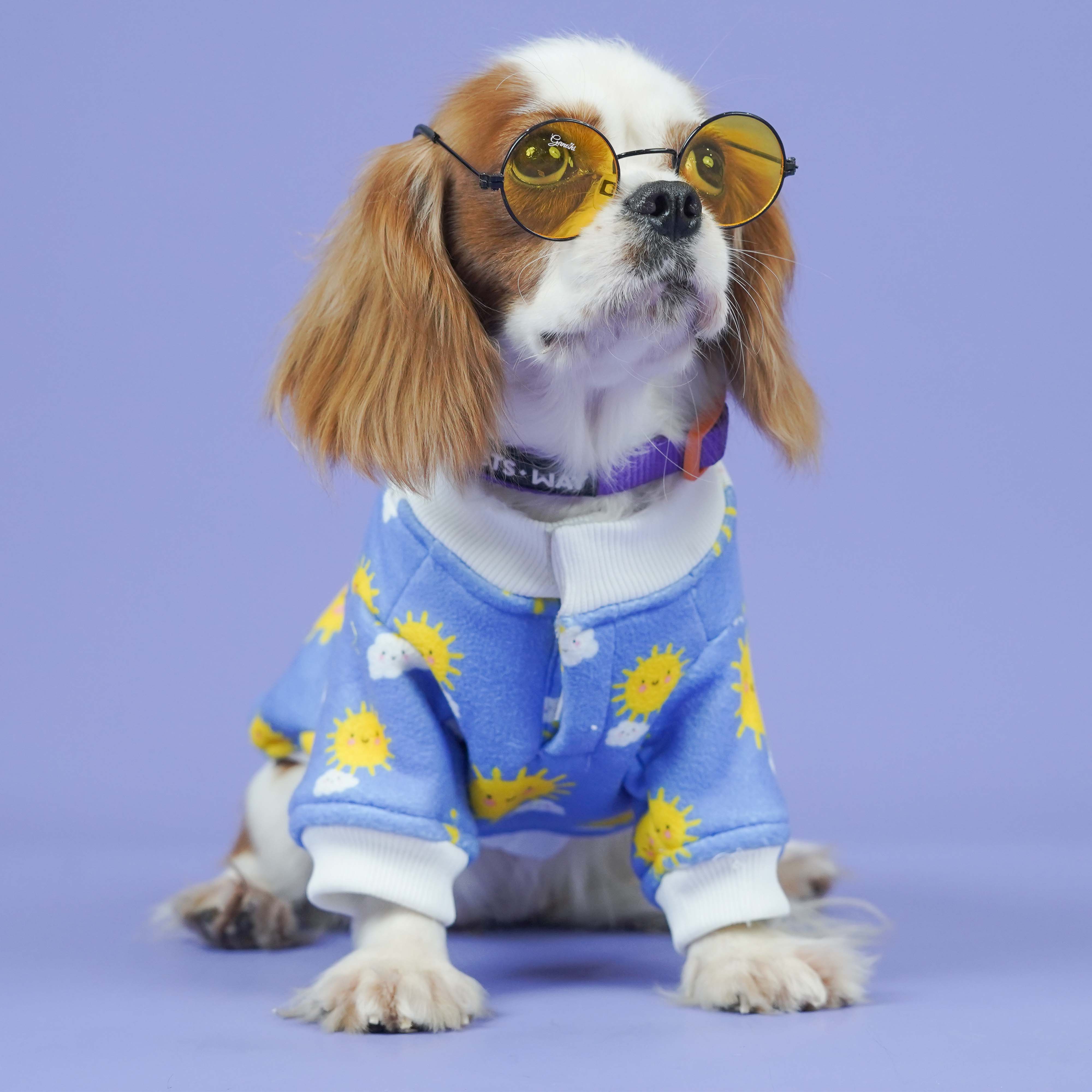 Sunlight Dog Sweatshirt