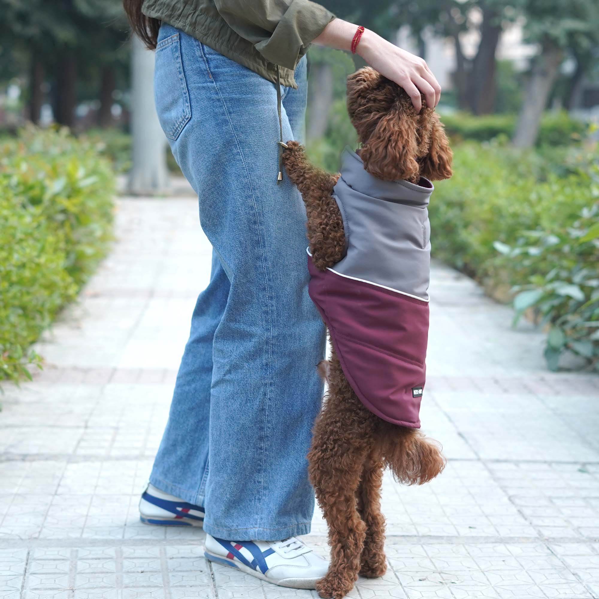 Frost- Wine Dog Jacket