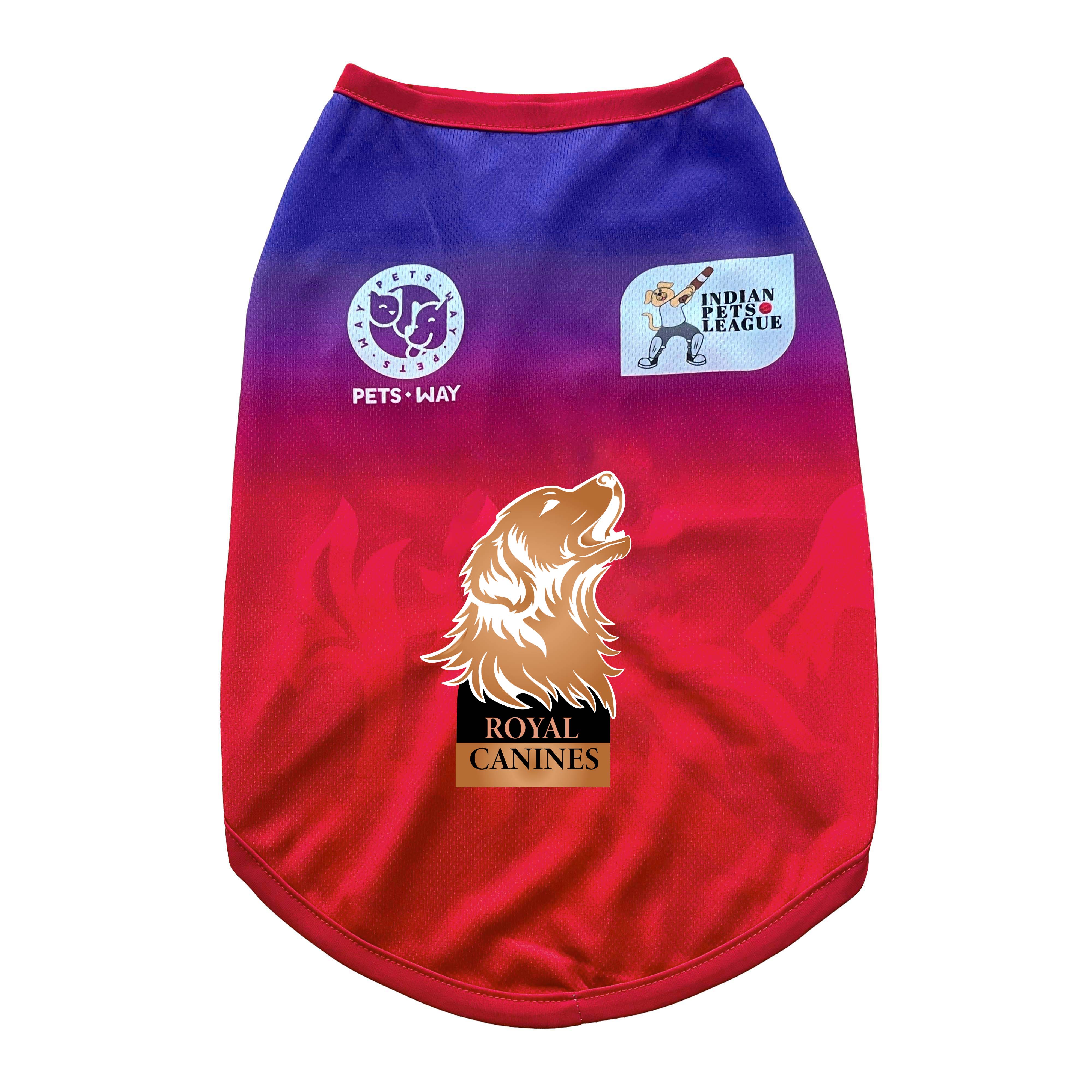 ROYAL CANINES BENGALURU IPL DOG VEST